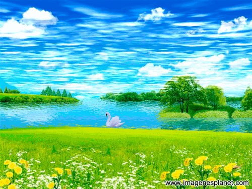 paisaje-con-cisnes.gif
