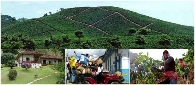El Paisaje Cultural Cafetero está amenazado El Paisaje Cultural Cafetero está amenazado