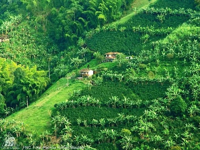 Paisaje Cultural Cafetero | El nuevo orgullo Colombiano