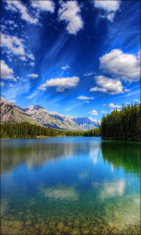 Paisaje Fondo Animado - Aplicaciones de Android en Google Play Paisaje Fondo Animado - Aplicaciones de Android en Google Play