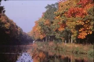 paisaje forestal, la naturaleza, el otoño | Descargar Fotos gratis