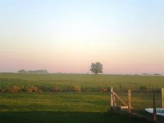 ... PAISAJE ... PAISAJE