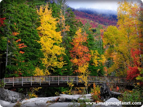 Paisaje - Imagenes Romanticas para facebook | Imagenes de Amor Paisaje - Imagenes Romanticas para facebook | Imagenes de Amor