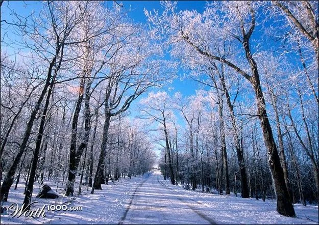 Paisaje de invierno - Imagui