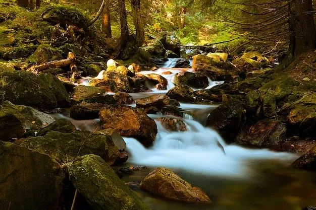 paisaje maderas otoño caliente hermoso bosque caída | Descargar ...