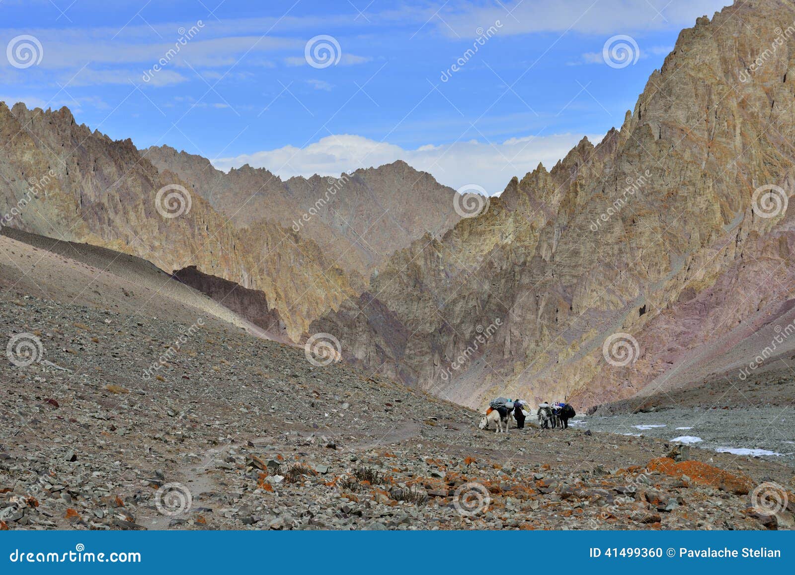 Paisaje De La Montaña Con Los Caballos Y El Jinete Imagen ...