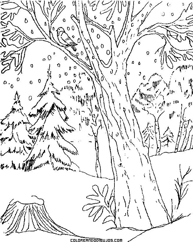 Paisaje de montaña para colorear