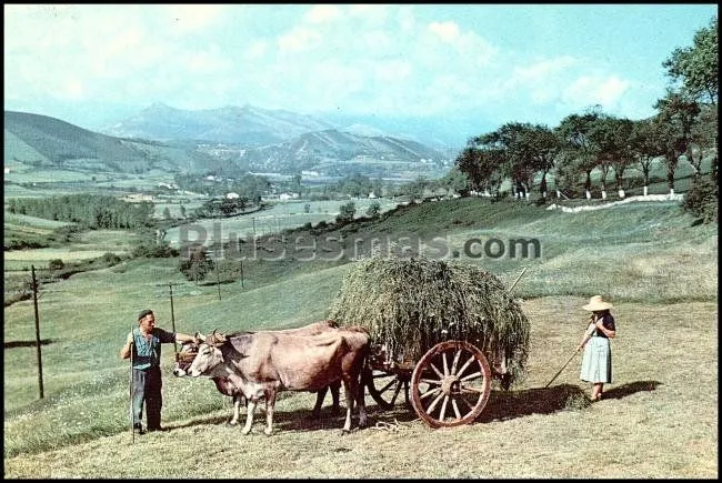 Paisaje montañés de santander ( Paisaje montañés de santander (