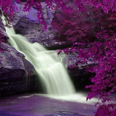 Paisaje morado con agua | Belleza natural | Pinterest