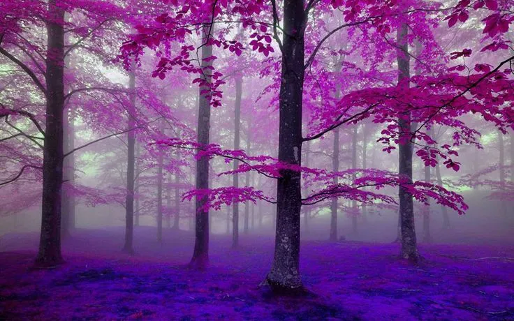 Paisaje morado con agua | Belleza natural | Pinterest Paisaje morado con agua | Belleza natural | Pinterest