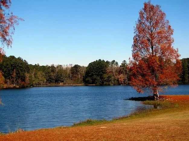 paisaje de otoño de agua, naturaleza, lago árboles | Descargar ... paisaje de otoño de agua, naturaleza, lago árboles | Descargar ...