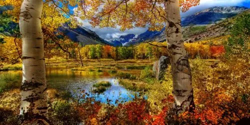 PAISAJE DE OTOÑO EN EFECTO OPTICO 3D - CuadrosGuapos.com