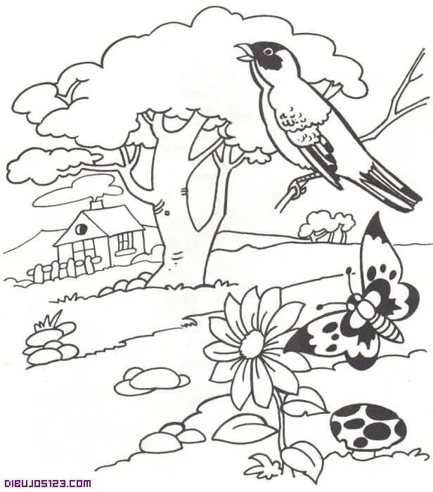 paisaje-para-colorear.jpg