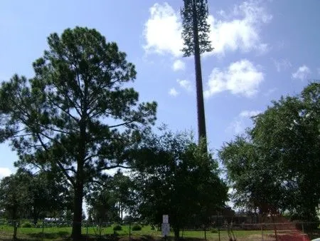 Este paisaje no es lo que parece: 9 curiosas antenas de telefonía ...