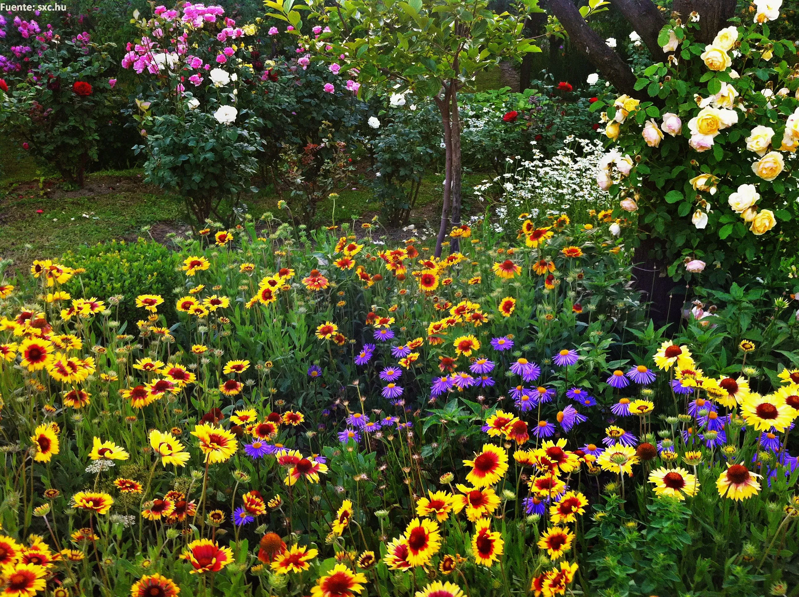 Paisaje de primavera - Currículum en línea. MINEDUC. Gobierno de ... Paisaje de primavera - Currículum en línea. MINEDUC. Gobierno de ...