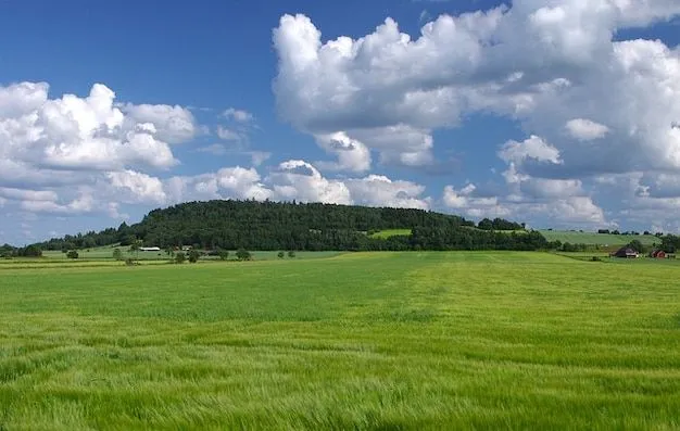 Paisaje de primavera verano suecia campos cielo nubes | Descargar ... Paisaje de primavera verano suecia campos cielo nubes | Descargar ...
