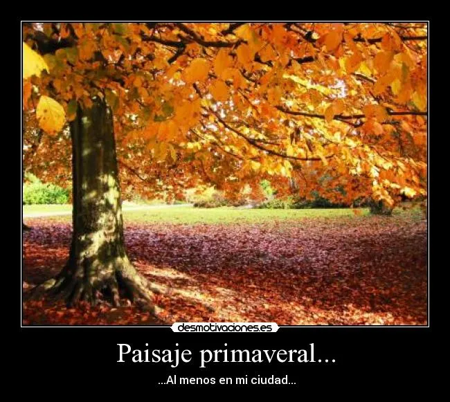 Paisaje primaveral... | Desmotivaciones