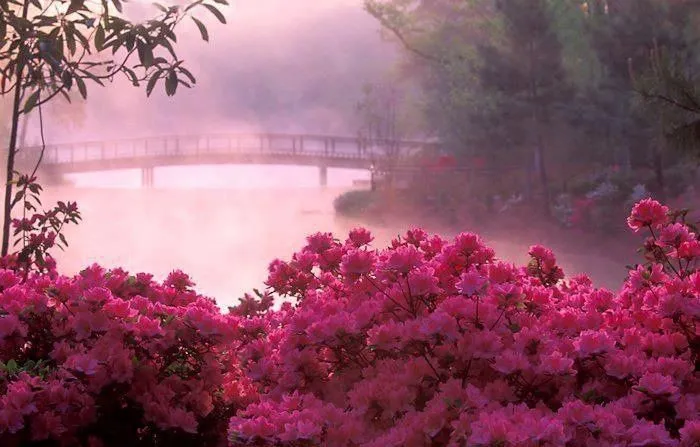 Paisaje en rosa | Paisajes | Pinterest