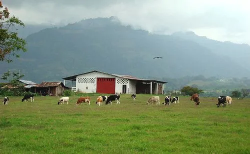 paisaje rural... en coscomatepec | Flickr - Photo Sharing!