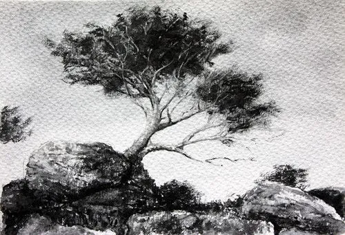 Paisaje tinta china 01 | Flickr - Photo Sharing! Paisaje tinta china 01 | Flickr - Photo Sharing!