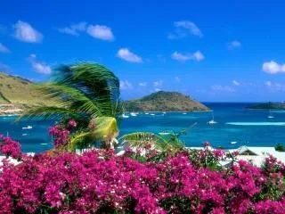 paisaje tropical | Descargar Fotos gratis