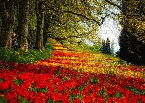 Paisajes |