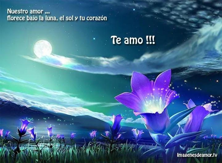 Imagenes de amor HD: Imagenes de paisajes de amor con frases Imagenes de amor HD: Imagenes de paisajes de amor con frases