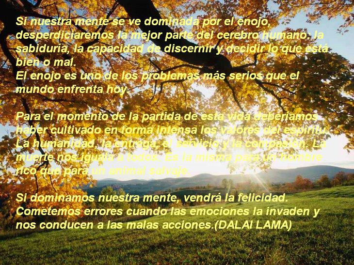 paisajes de amor con frases de amor | imagenes y fotos de amor con ...