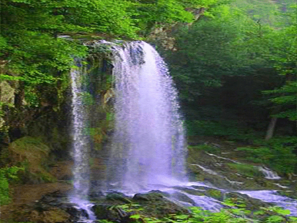 PAISAJES ANIMADOS: Paisaje animado de cascada (41) ¡Oh muerte ... PAISAJES ANIMADOS: Paisaje animado de cascada (41) ¡Oh muerte ...