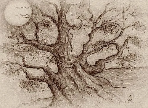 Como dibujar un arbol a lapiz - Imagui