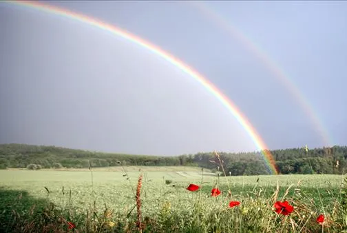 DiarioPlus: Crean una máquina que fabrica arcoiris DiarioPlus: Crean una máquina que fabrica arcoiris