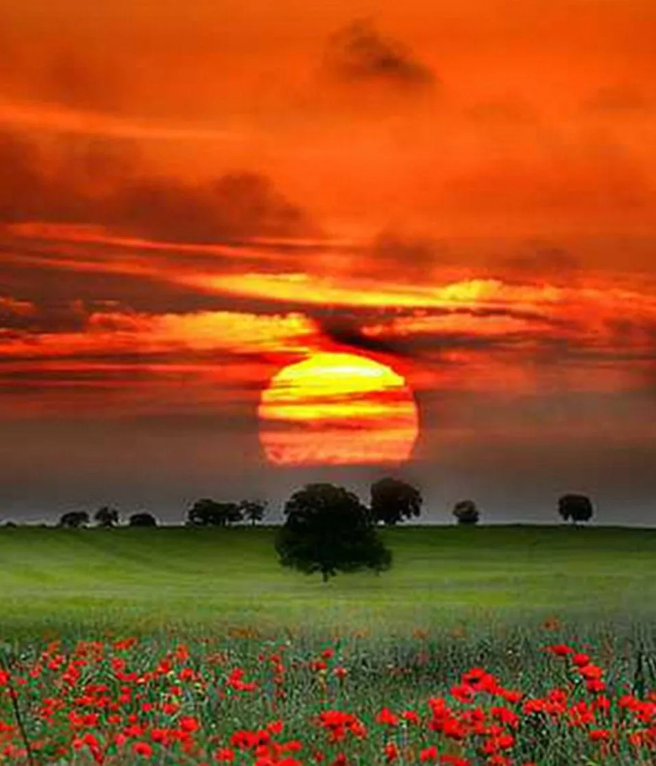 paisajes al aterdecer | Cuadros Modernos al Óleo paisajes al aterdecer | Cuadros Modernos al Óleo