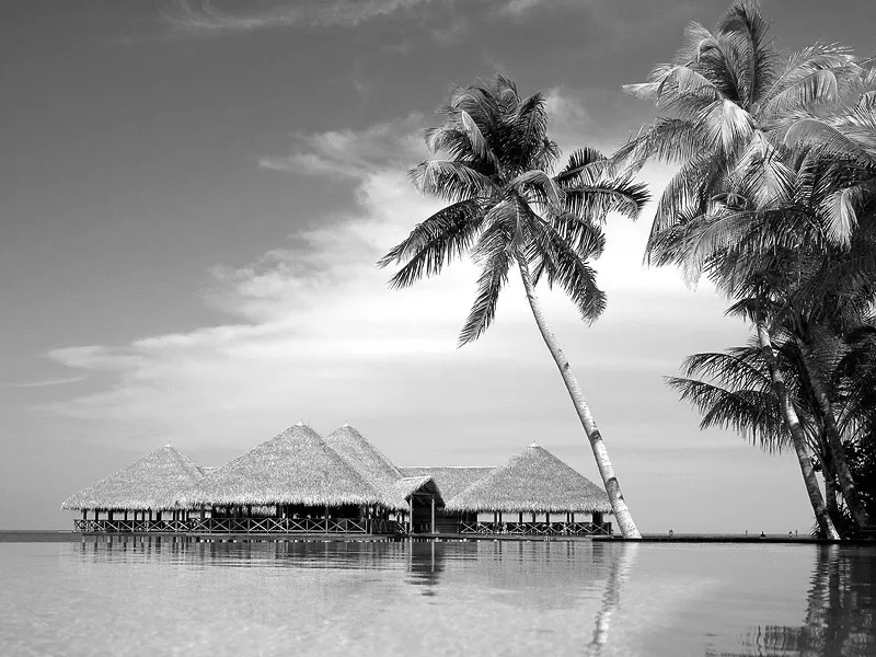 Paisajes de Ensueño: Paisajes Blanco y Negro Paisajes de Ensueño: Paisajes Blanco y Negro