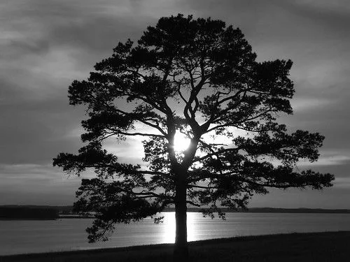 Flickr: Discussing Paisajes en Blanco y Negro FOTO GANADORA #1 in ... Flickr: Discussing Paisajes en Blanco y Negro FOTO GANADORA #1 in ...