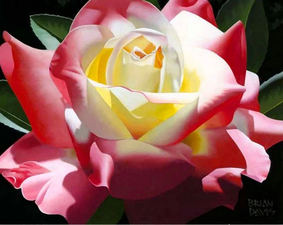 Paisajes y Bodegones: Cuadros bodegones con rosas Paisajes y Bodegones: Cuadros bodegones con rosas