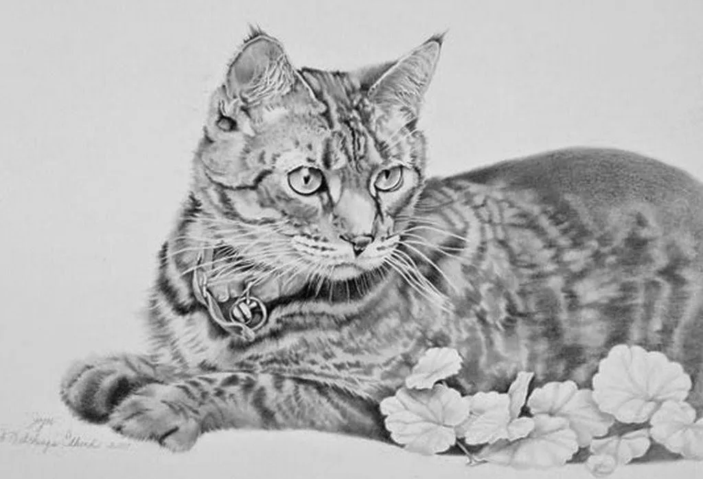 Paisajes y Bodegones en Pintura: Cuadros, Dibujos de Gatos Hechos ... Paisajes y Bodegones en Pintura: Cuadros, Dibujos de Gatos Hechos ...