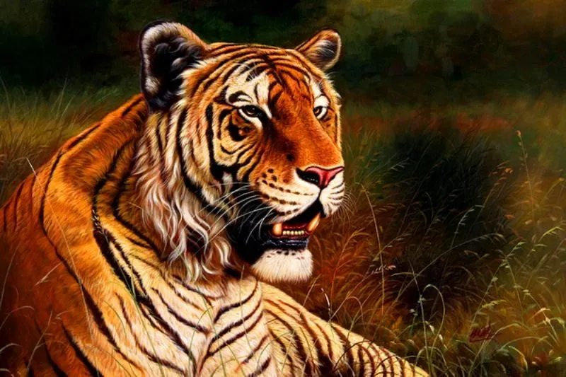 Paisajes y Bodegones: GALERIA DE TIGRES PINTADOS EN OLEO