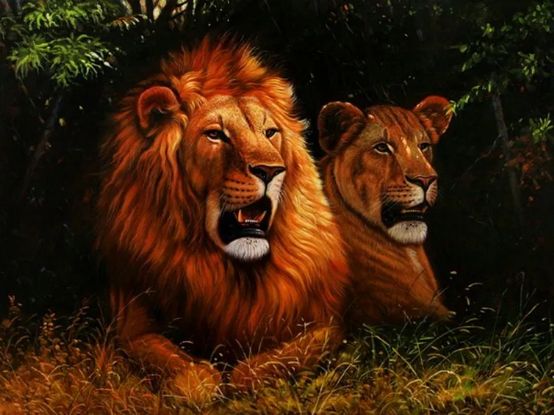 Paisajes y Bodegones: LEONES EN OLEO
