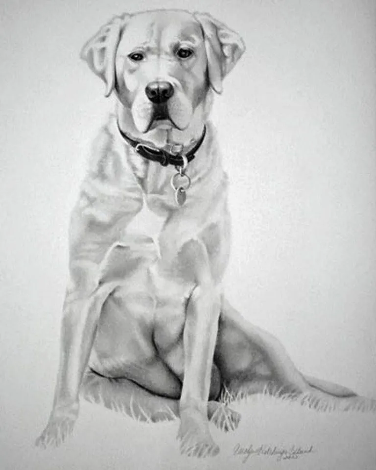 Paisajes y Bodegones al Óleo: Dibujos de Perros Hechos a Lapiz ... Paisajes y Bodegones al Óleo: Dibujos de Perros Hechos a Lapiz ...