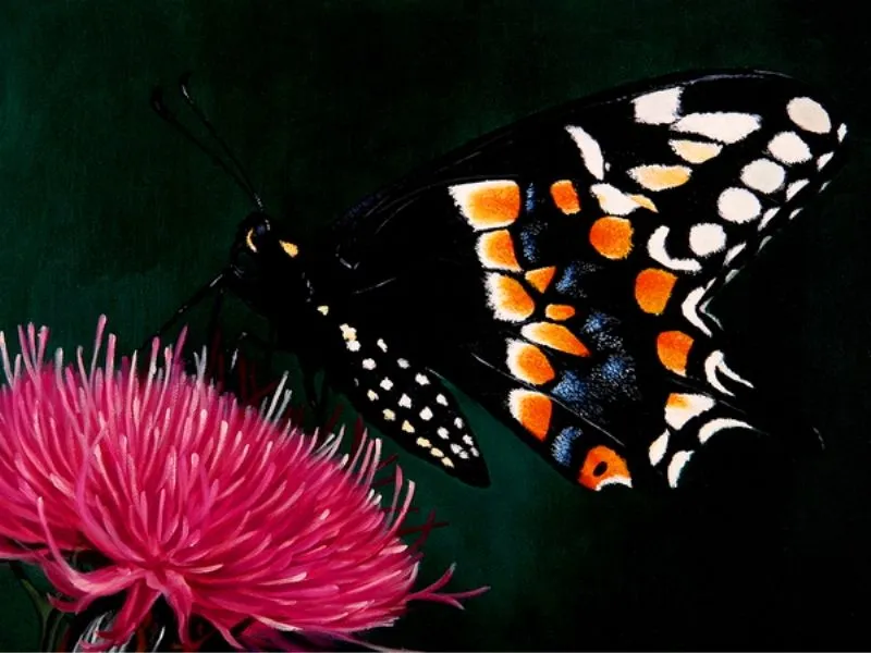 Paisajes y Bodegones: PAISAJES CON MARIPOSAS AL OLEO Paisajes y Bodegones: PAISAJES CON MARIPOSAS AL OLEO