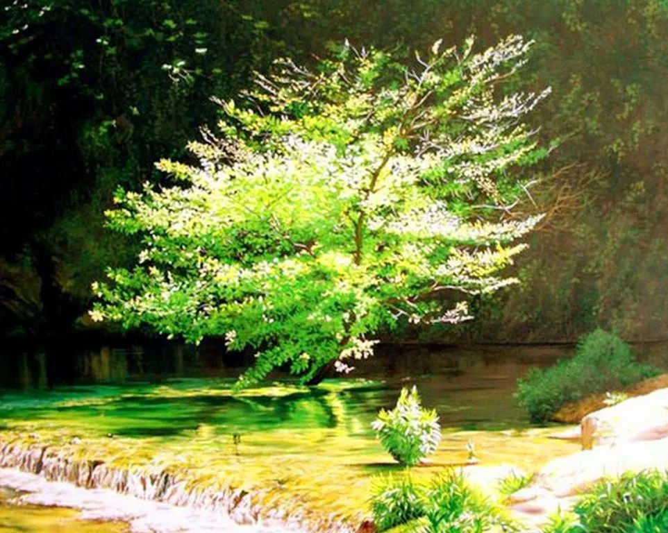 Paisajes y Bodegones: Paisajes naturales en óleo Paisajes y Bodegones: Paisajes naturales en óleo