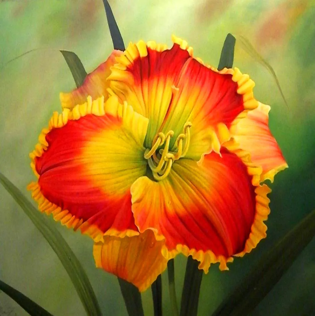 Paisajes y Bodegones: FLORES