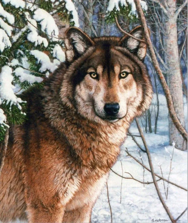 Imágenes Arte Decotativo: Pintura de lobo en paisaje