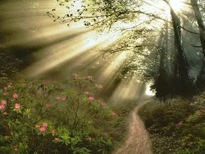 Devocional Cristiano – El Espiritu del Señor nos acompañara siempre