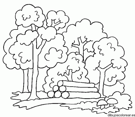 febrero | 2011 | Dibujos para Colorear