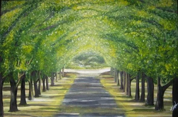Imágenes de caminos con arboles - Imagui