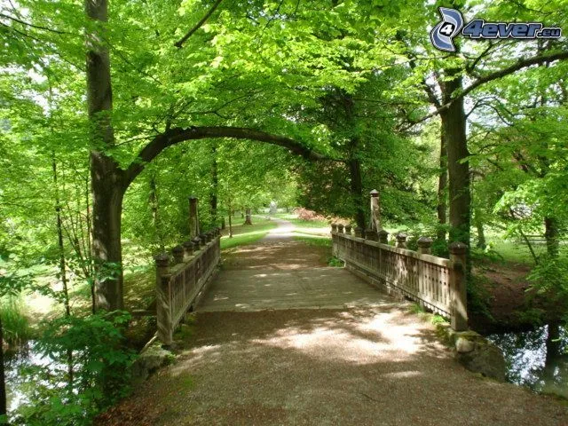 Paisajes caminos con arboles - Imagui
