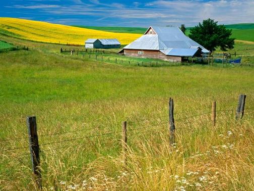 Paisajes de campos hermosos - Imagui