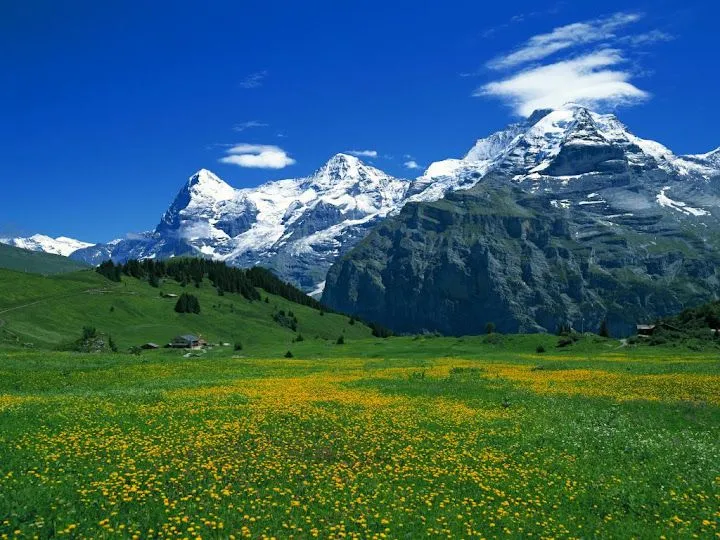 Paisajes del campo - Imagui