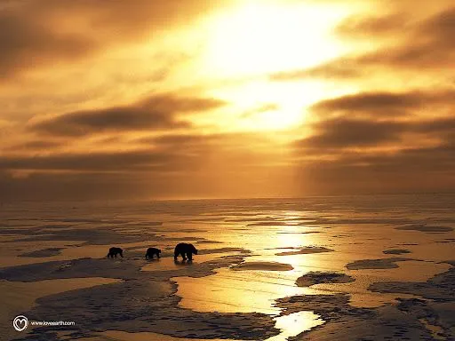 Paisajes de cielos - Imagui